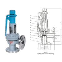 Weiqi safety valve with a wrench spring